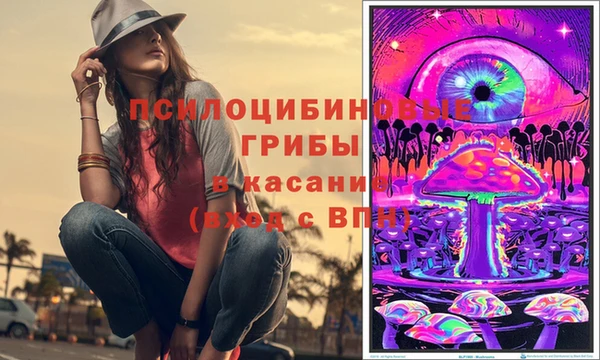 ПСИЛОЦИБИНОВЫЕ ГРИБЫ Пестово