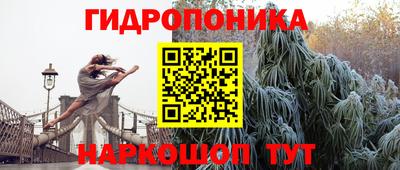 ешки Ставрополь