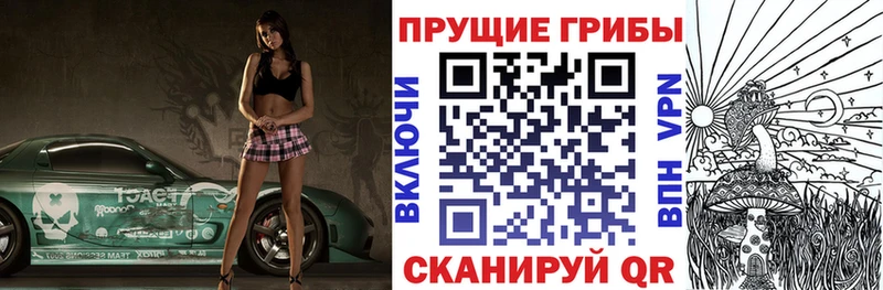 Галлюциногенные грибы Magic Shrooms  Ставрополь 