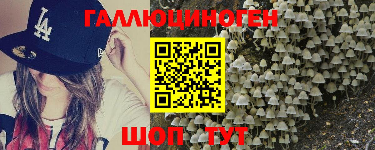 Ставрополь  Псилоцибиновые грибы ЛСД  Псилоцибиновые грибы мицелий  магазин продажи наркотиков  Вход с VPN 